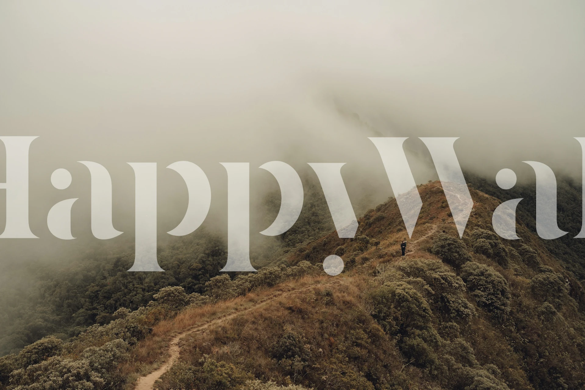 Foggy mountain wallpaper in a living room