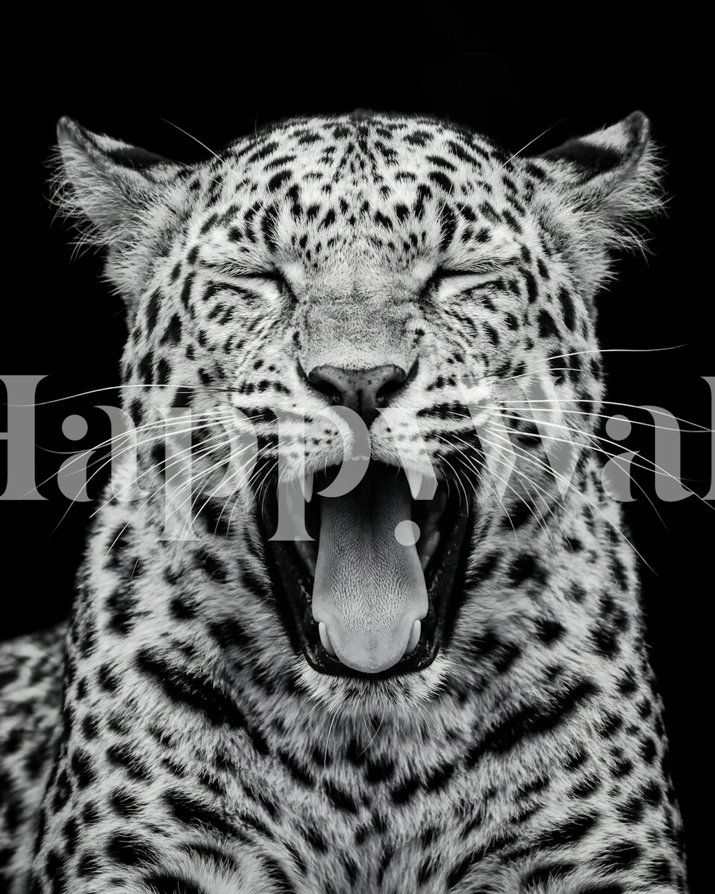 Black and white leopard wallpaper in a room