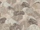 Neutral Stone Hills and Ferns