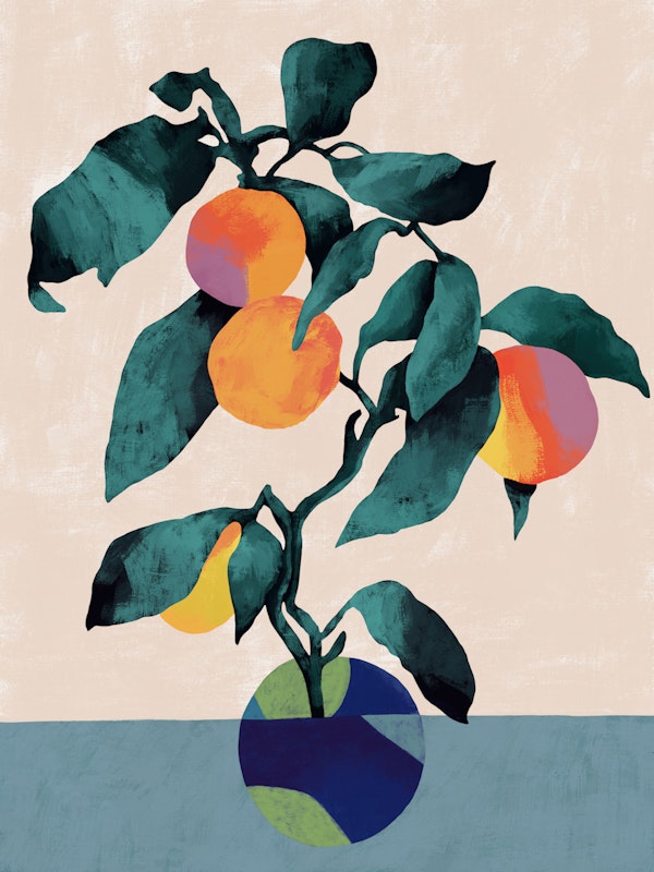 Modern Citrus Branch