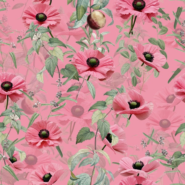 Poppies 02