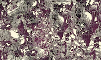 violet tapet