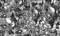 Midnight Botanical carbon tapet
