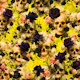 Gothic Skulls and Roses 02