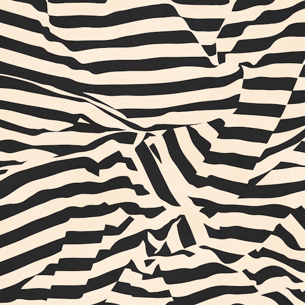 Zebra Stripes Monochrome Waves