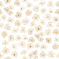 Soft Beige Blossoms tapety