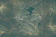 Teal Gold Botanical Linework