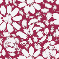 Magenta Daisy Rose Blooms wallpaper