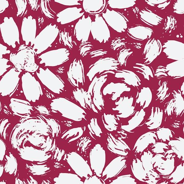 Magenta Daisy Rose Blooms