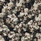 Eden of Skulls 01