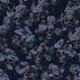 Eden of Skulls 02