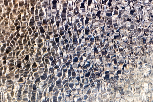 Sunlit Water Ripples