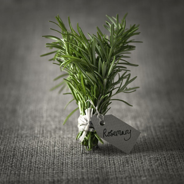 Fresh Rosemary Sprigs