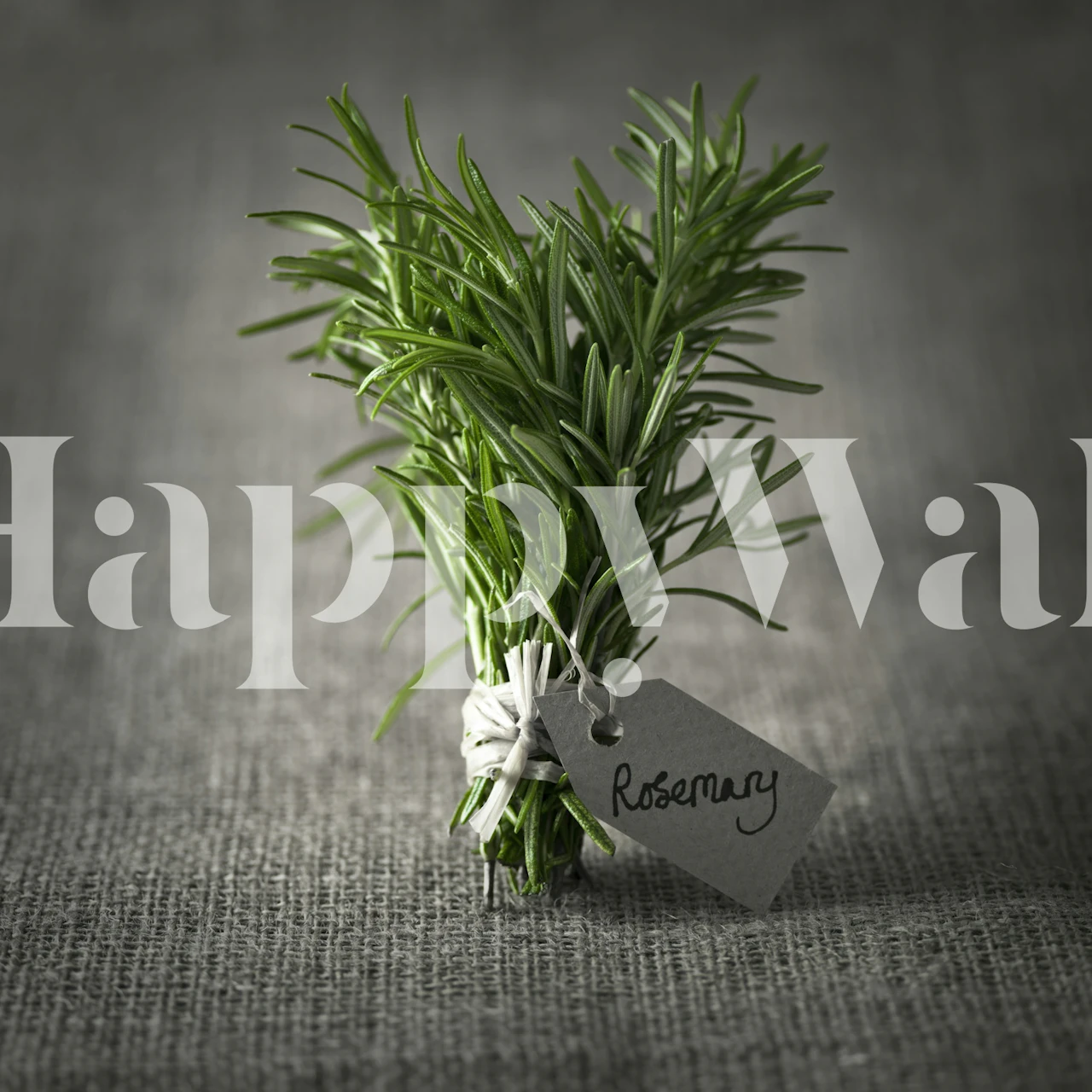 Rosemary wallpaper in a room with grey background