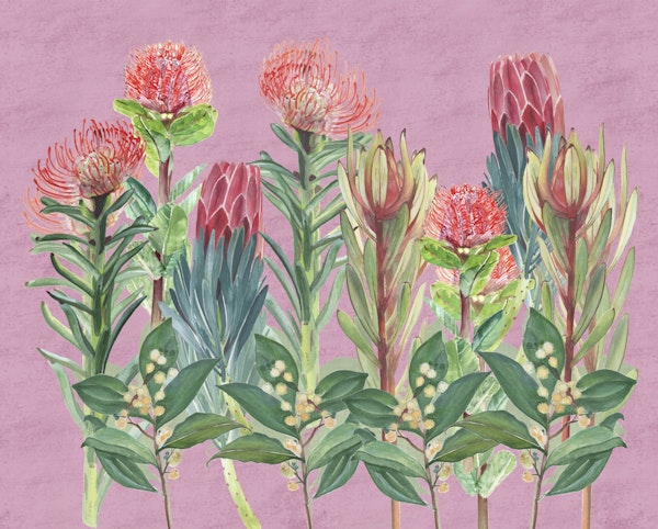 Australian Watercolour Native Flowers