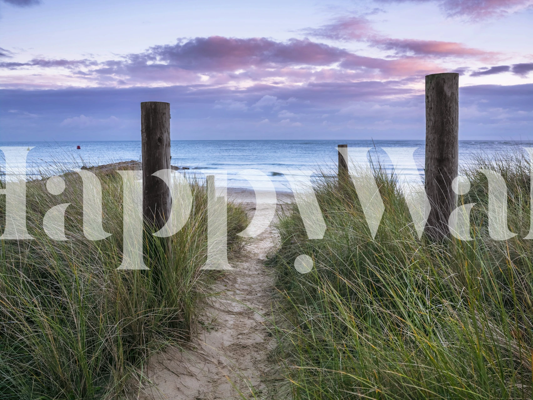 Beach dunes wallpaper in a room with ocean view