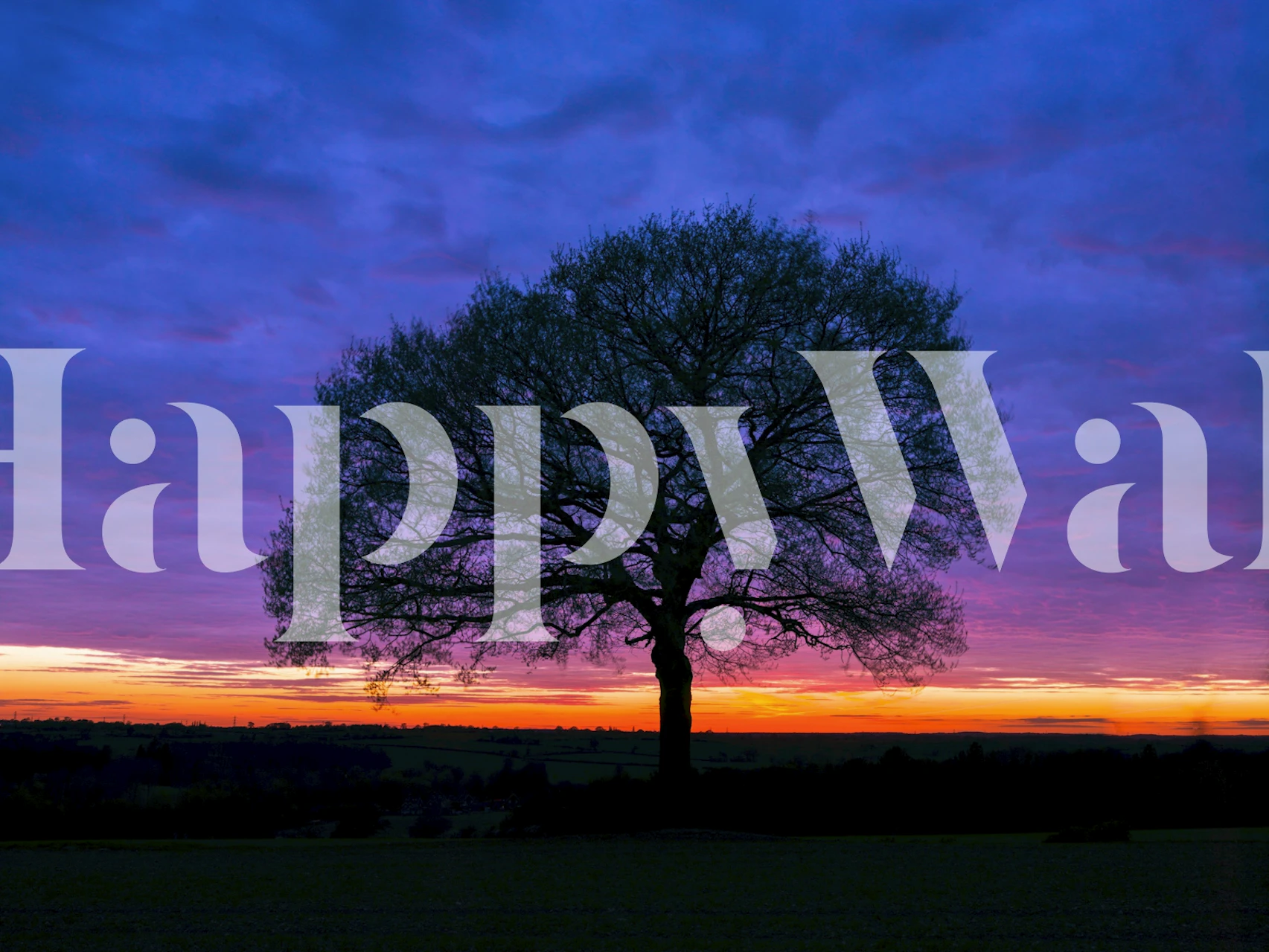 Purple tree sunset wallpaper in a living room