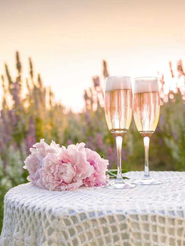 Champagne Toast at Sunset