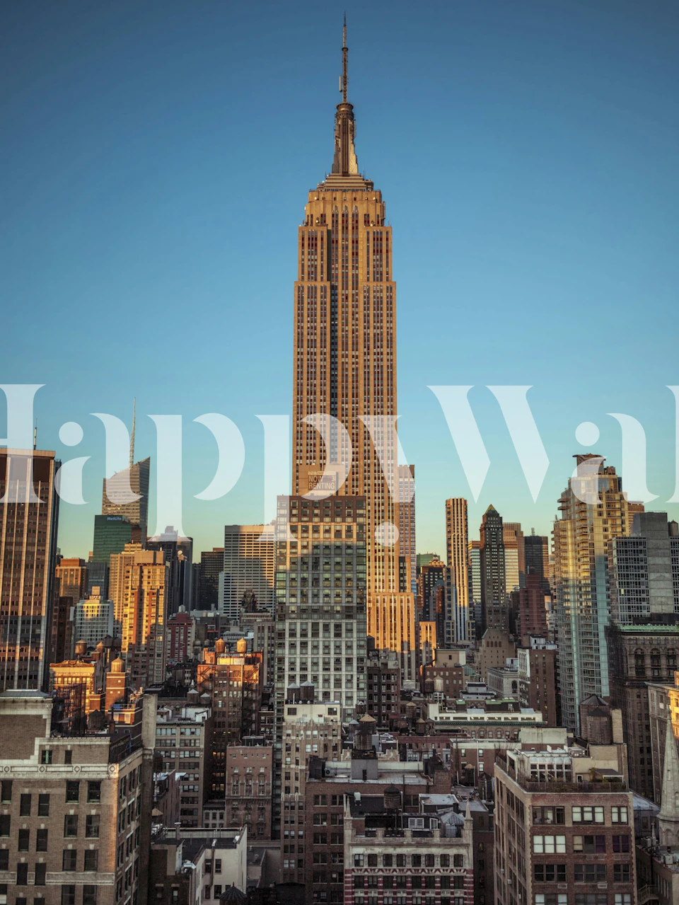 Empire State Building sunset wallpaper in a room