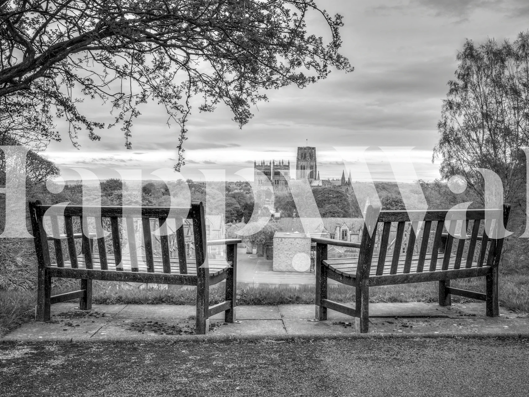 Black and white bench wallpaper in a room