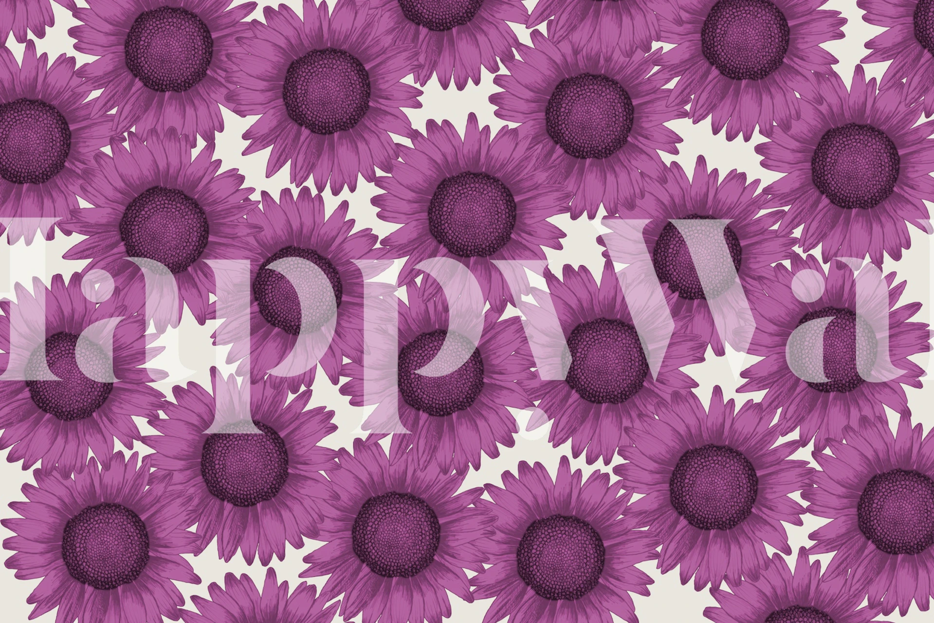 Pink violet sunflower wallpaper in a room