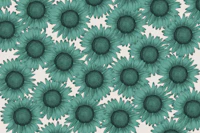 Sunflower Field - Teal wallpaper