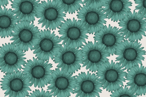 Sunflower Field - Teal