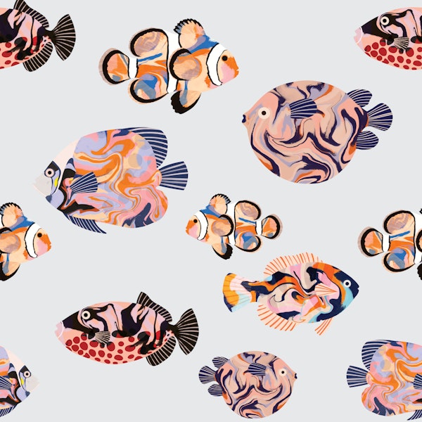 Tropical fishes
