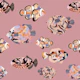 Tropical Fish on Pink