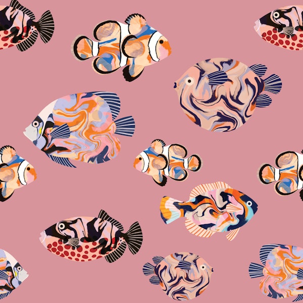 Tropical Fish on Pink