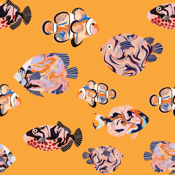 Tropical Fish on Orange