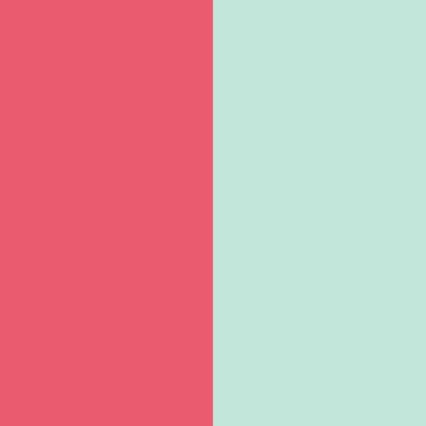 Stripes Vertical Coral Mint Minimal