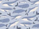 Blue Whales and Dolphins Ocean Swimming