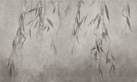 Nosara - Weeping tree branches and leaves wallpaper