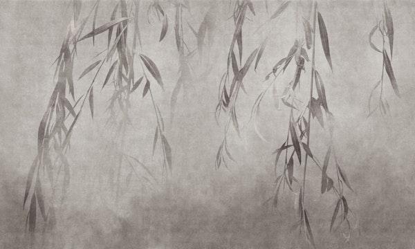 Nosara - Weeping tree branches and leaves