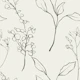 Minimal Botanical Line Art - scale L