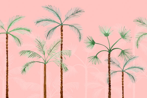 Palm Oasis Soft Pink