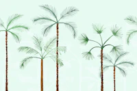 Palm Oasis Soft Mint wallpaper