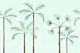 Palm Oasis Soft Mint