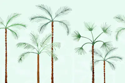 Horizontal Pattern