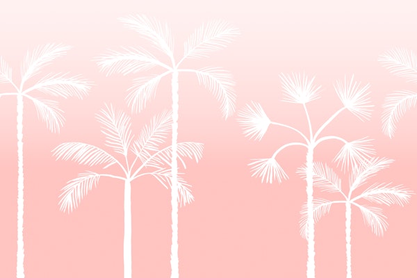 Coastal Palm Shadows Pink