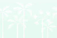 Coastal Palm Shadows Mint tapety