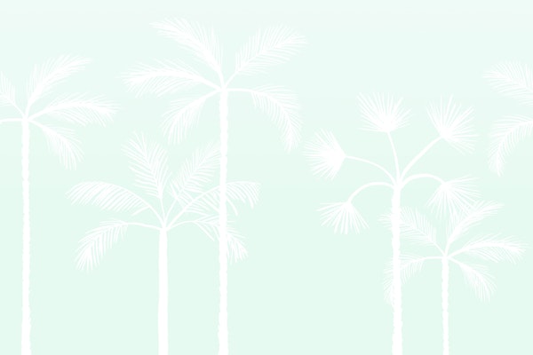 Coastal Palm Shadows Mint