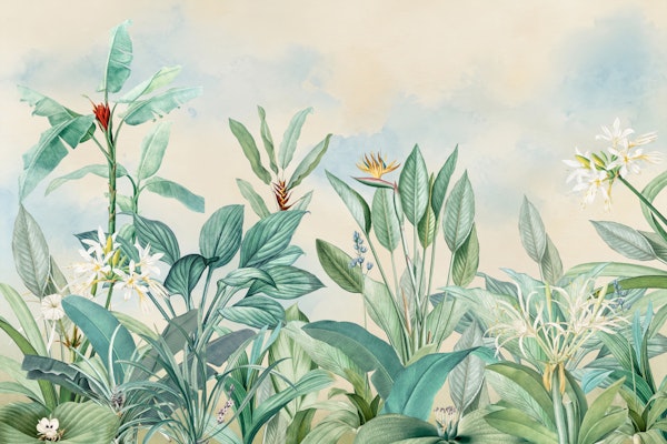 Serene Tropical Foliage Landscape