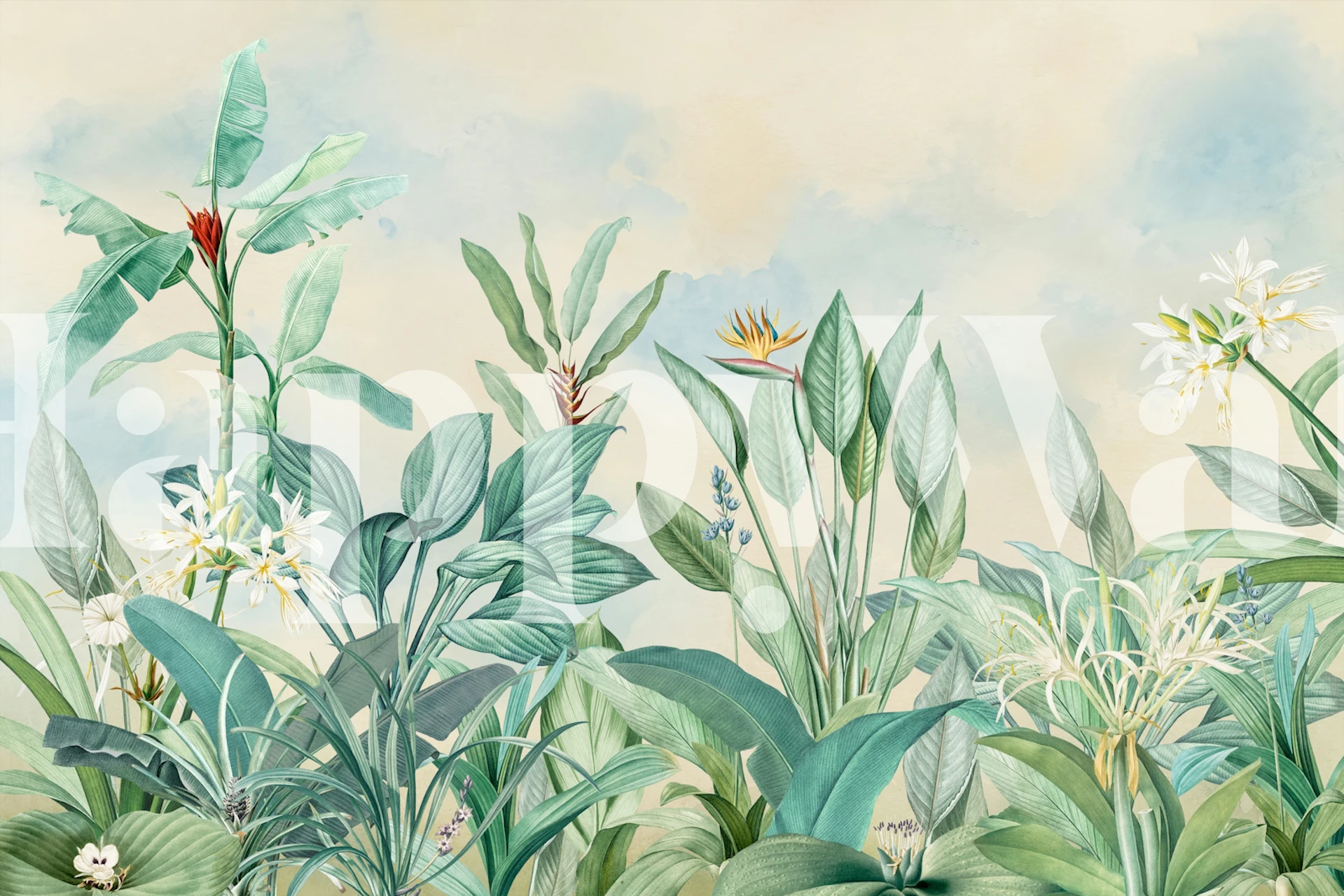 Tropical foliage wallpaper in a bright room
