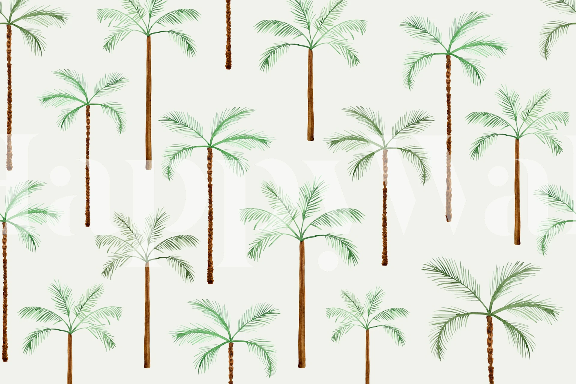 Sage palm tree wallpaper in a bright room