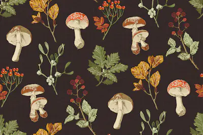 Pattern