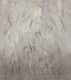 Nosara - Weeping branches and leaves - Golden