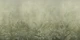 Jungle Mists - Olive