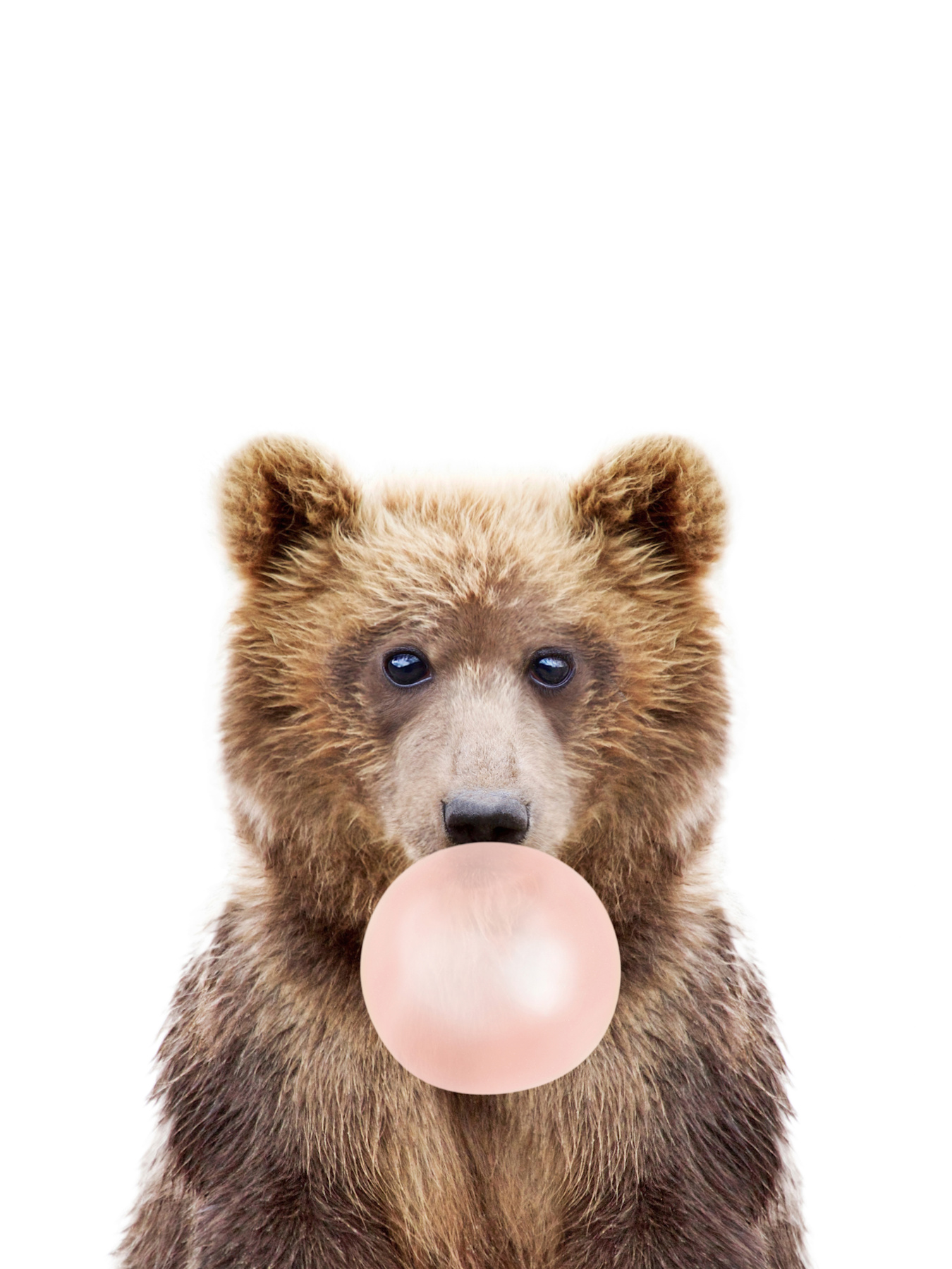 cub